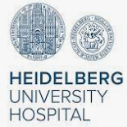STIBET Completion Grants for International Students at Heidelberg University, Germany             